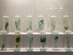 -青海藏文化博物院