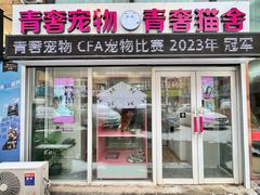 -青奢宠物·青奢猫舍