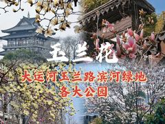 -红梅公园