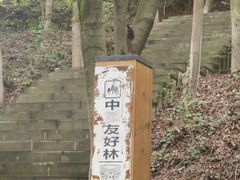 -老君山