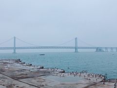 -星海湾跨海大桥