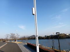 -羊山湖公园