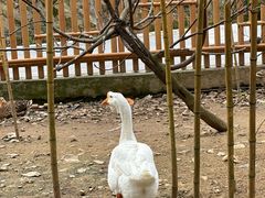 -老庄山居·甘其食