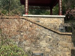 -北极阁公园