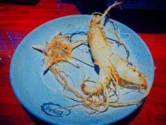 鲜人参锅底-千岛蚝高压锅生蚝·人参火锅(白云万达店)