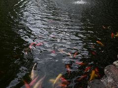 -海南文笔峰盘古文化旅游区