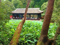 -成都武侯祠博物馆