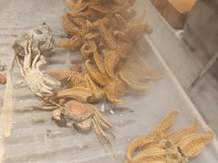 -川骄海鲜自助(亚运村店)