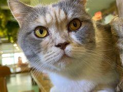 -藦茜花园宠物主题亲子互动体验馆(国顺东路店)