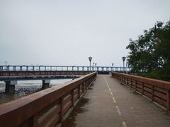 -宝安西湾红树林湿地公园