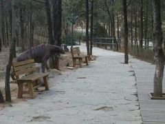 android_upload_pic-北京周口店北京人遗址博物馆
