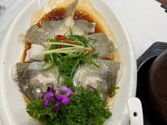 -小贝壳酒楼(经九路店)