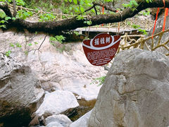 -洛阳白云山景区