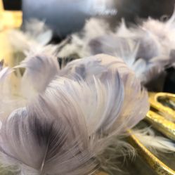 -Flora婚纱礼服定制租赁店