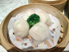 -南海渔村(珠江新城店)