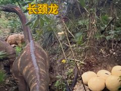 -青青世界
