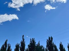 -永定河休闲森林公园