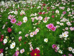 -艾溪湖湿地公园