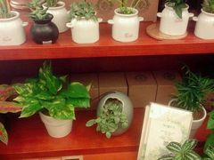 -西西弗书店&矢量咖啡(万象城店)