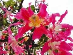 -江门古兜温泉小镇