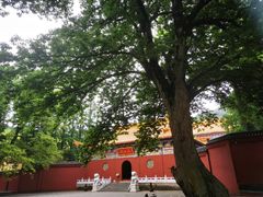 -冶父山国家森林公园