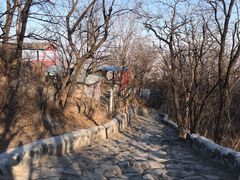 -阳台山自然风景区