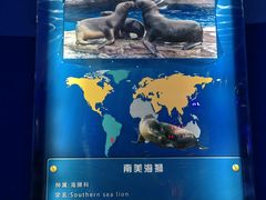 -海合安青岛极地海洋公园