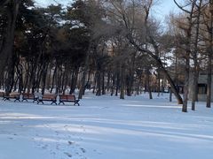 -长春市南湖公园