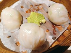 -南海渔村(珠江新城店)