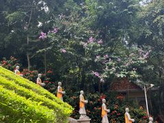 -西双版纳勐泐文化旅游区