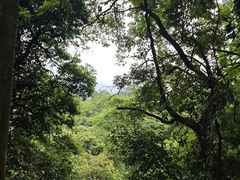 -青城山