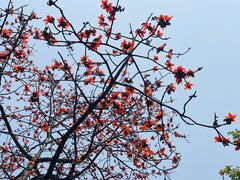 -晓港公园