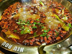 -受气牛肉·重庆耙牛肉(来福士店)