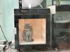 -中农大我爱我爱动物医院·核磁CT·猫病·24小时夜诊中心(石佛营店)