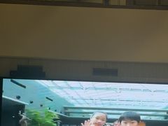 -中国宋庆龄青少年科技文化交流中心