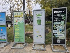 -金银湖国家城市湿地公园