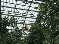 -南山植物园
