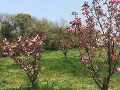 -蜀冈西峰生态公园