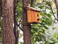 -大兴滨河森林公园