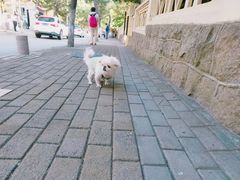 -八大关景区
