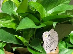 -鹿岛会员店 (龙湖三千集天街店)