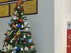 -斯坦星球AI编程·机器人科创·科学实验·信奥·思维·STEM·乐高·竞赛考级(长宁虹桥大融城荟聚中心)