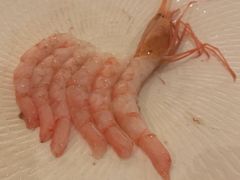 -新发展亚太JW万豪酒店·福苑咖啡厅