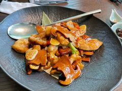 牛肝菌-随堂里