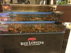 -台场海滨公园船码头