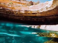 -上巴拉卡花园和下巴拉卡花园