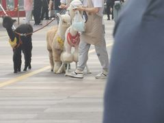 -太原茂业天地购物中心