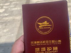 -泰达航母主题公园