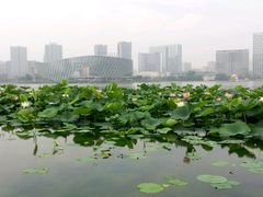 -聚龙湖公园
