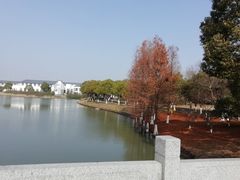 -中华赏石园